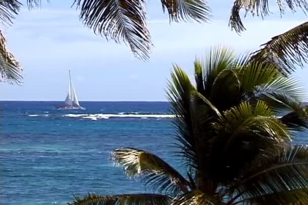 Barco à vela no mar — Vídeo de Stock