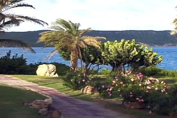 Paseo en la costa de la isla — Vídeo de stock