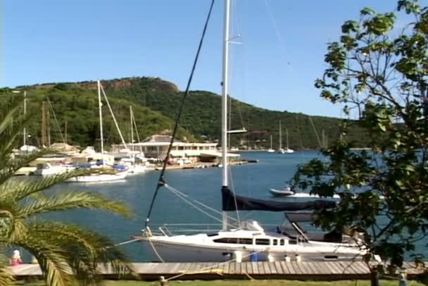 Port z łodzi turystycznych — Wideo stockowe