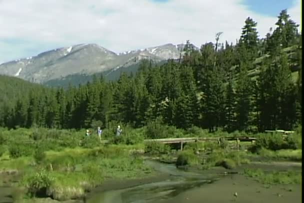 Rockies Park Meadow — Stock Video