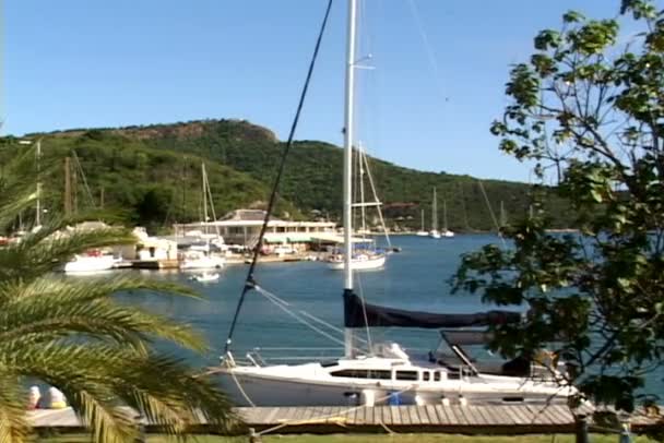 A turisták csónakjai Harbour — Stock videók