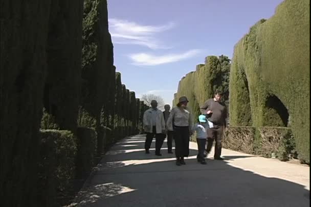 People walking in garden — Stock Video