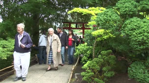 Japán kert bejárata — Stock videók