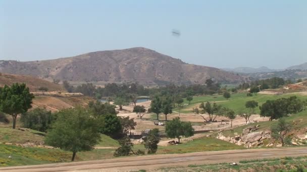 Parque Zoológico Safari de San Diego — Vídeo de Stock