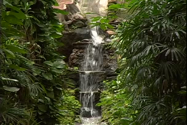 Καταρράκτη κήπων στο Ρίο ντε Τζανέιρο — Αρχείο Βίντεο