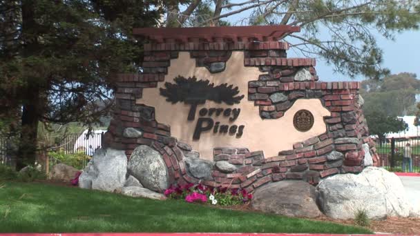 Torrey Pines Golf Club — Stock video