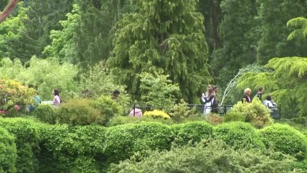 在维多利亚市的下沉花园 — 图库视频影像