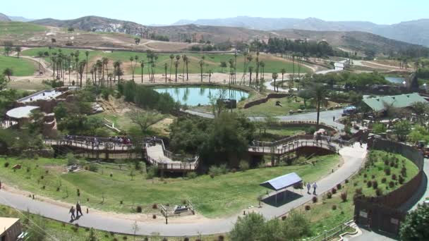 San Diego Zoo Safari Park — Wideo stockowe