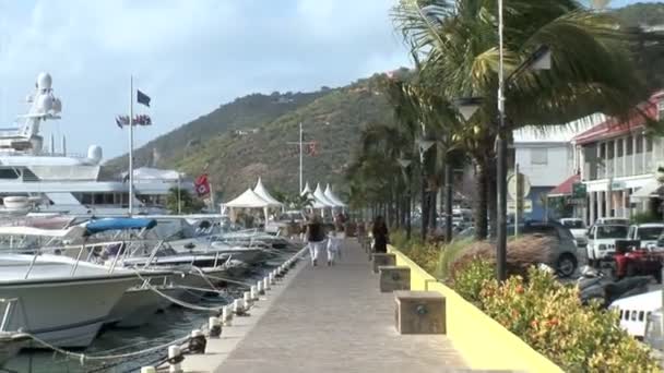 Walkway at harbor in Gustavia city — ストック動画