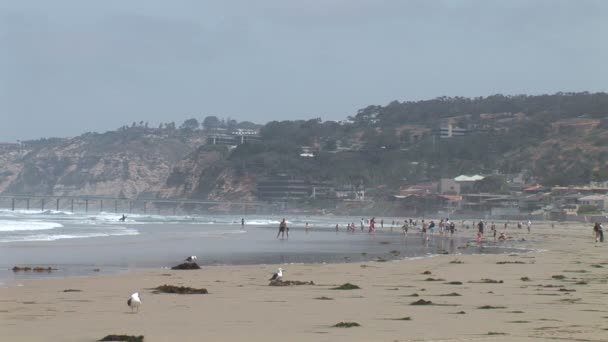 La Jolla strand in San Diego — Stockvideo