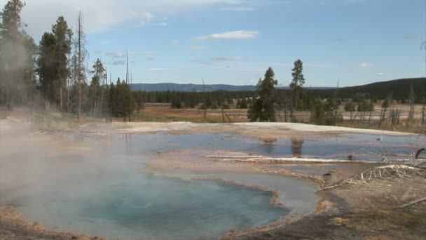 Gejzír a Yellowstone Nemzeti Parkban fortyogó — Stock videók