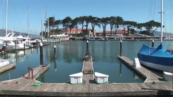 Марина с лодками в Сан-Франциско — стоковое видео