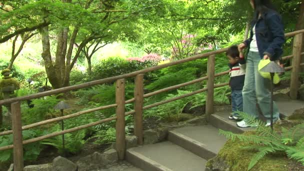 Japanischer Garten in Kanada — Stockvideo