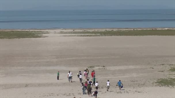 Kids walking on Great Salt Lake Beach — Stock video