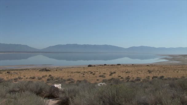 Μεγάλη αλμυρή λίμνη — Αρχείο Βίντεο