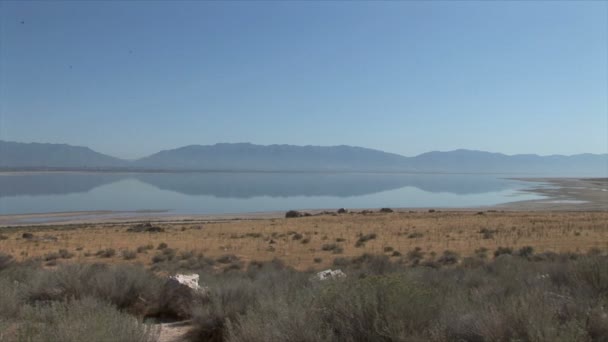 Great Salt Lake — Stock Video