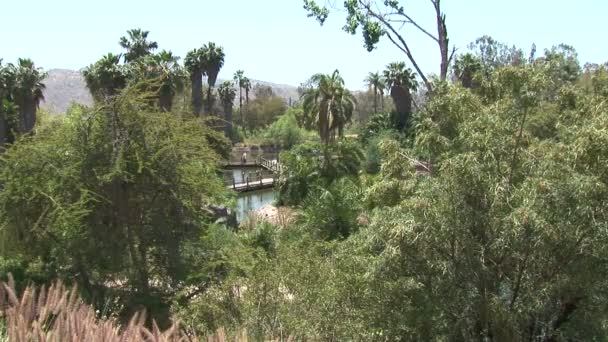 Chodnik w San Diego Park — Wideo stockowe