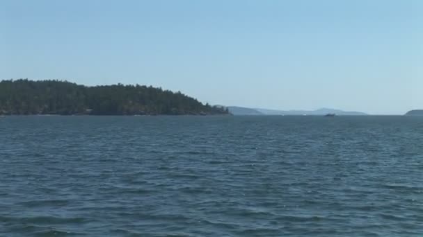 Promenades en bateau dans l'océan   