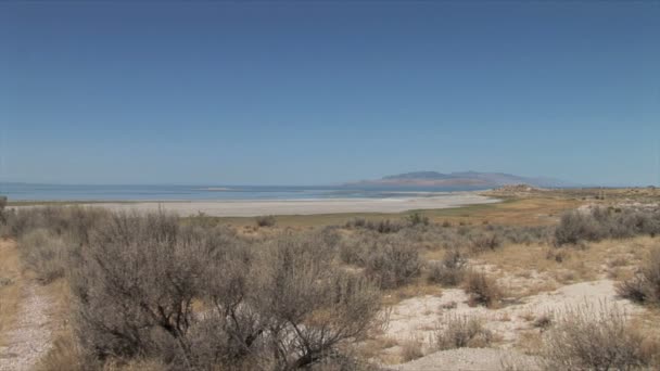 Antelope Island Landscape — Stock video