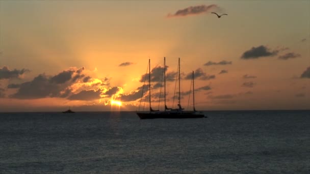 Высокий корабль на закате — стоковое видео