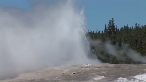 Gejzer wybucha w Parku Narodowym Yellowstone — Wideo stockowe