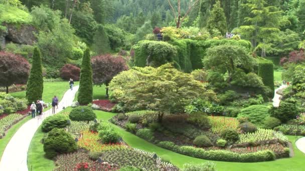 Sunken Garden w mieście Victoria — Wideo stockowe