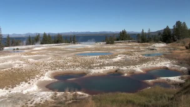 Ορυκτό πισίνες στο εθνικό πάρκο Yellowstone — Αρχείο Βίντεο