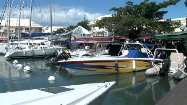 Port La Royale en la ciudad de Marigot — Vídeos de Stock