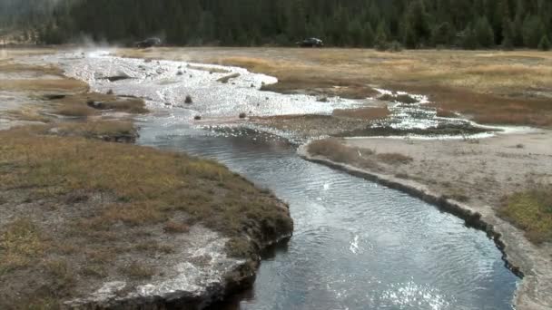 Минеральный поток в Йеллоустонском национальном парке — стоковое видео