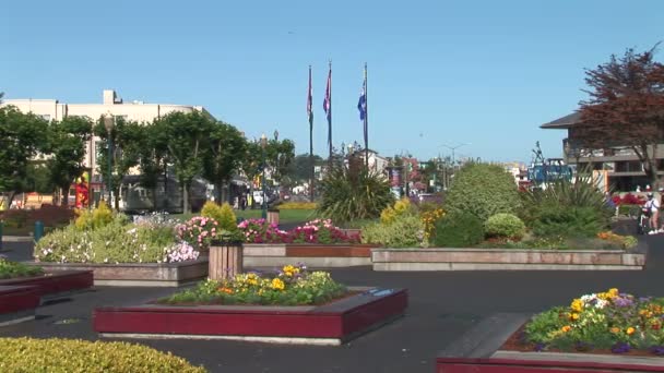 Garden on pier 39 in San Francisco — ストック動画