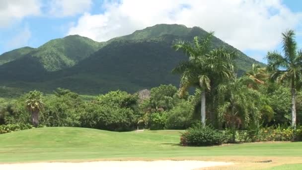 Golf course on Caribben island — Stock video