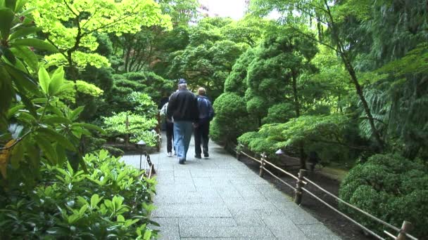 Jardín japonés en Canadá — Vídeo de stock