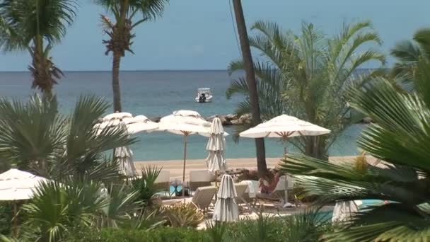 Resort strand op het Caribische eiland — Stockvideo