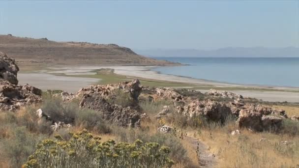 Grande lago de sal — Vídeo de Stock