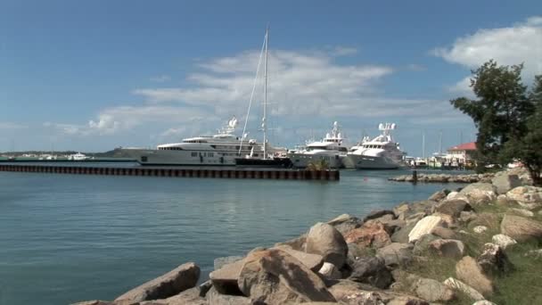 Yachts in Marigot marina — Stock video