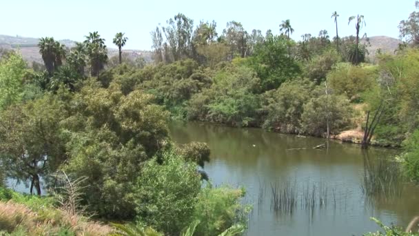 Rivière à San Diego Park — Video