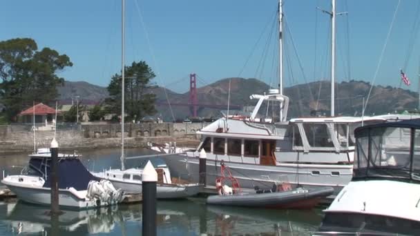 Marina a San Francisco — Video Stock