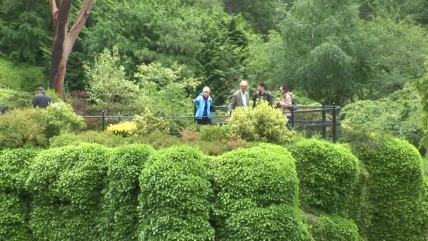 Sunken Garden w mieście Victoria — Wideo stockowe