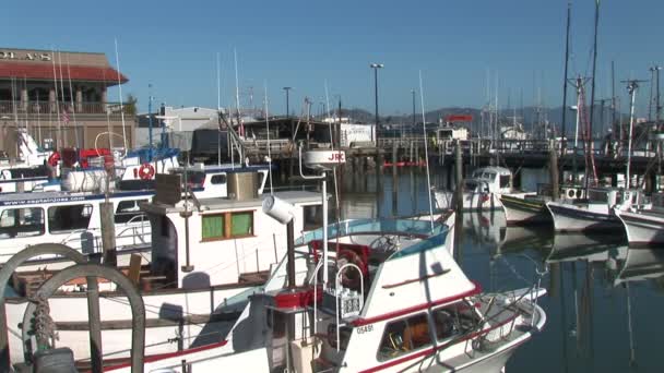 Fisherman's Wharf met boten in San Francisco — Stockvideo