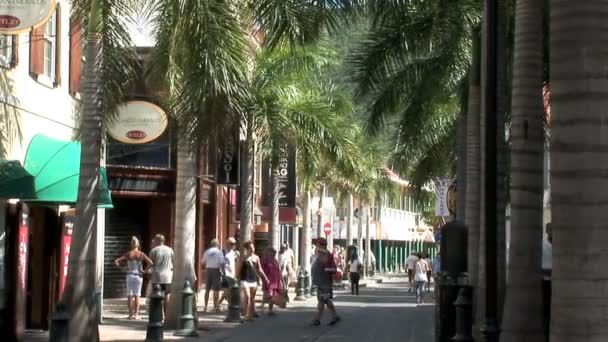 Philipsburg city på Sint Maarten ö — Stockvideo