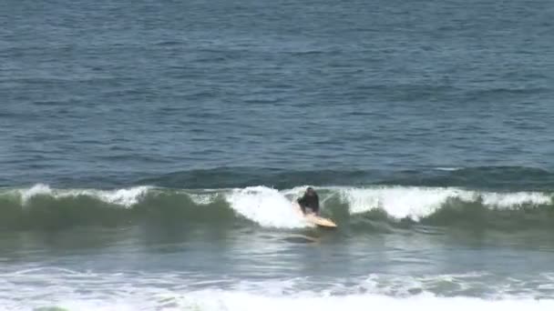 Surfista nadando en el océano — Vídeo de stock