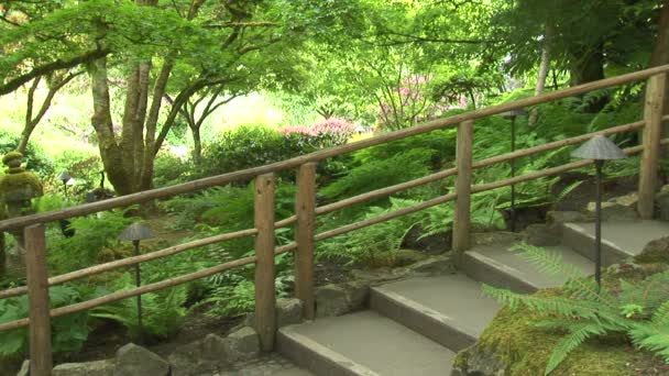 Japanese garden in Canada — Stock Video