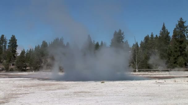 Geysirfeld im Yellowstone-Nationalpark — Stockvideo