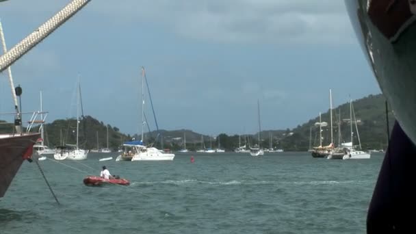 Boote im Hafen von Gustavia — Stockvideo