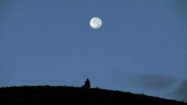 Luna llena en el cielo nocturno — Vídeo de stock