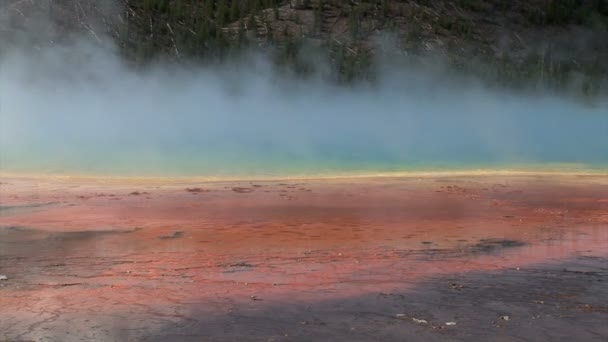 Colorful Mineral Pool — Stock Video