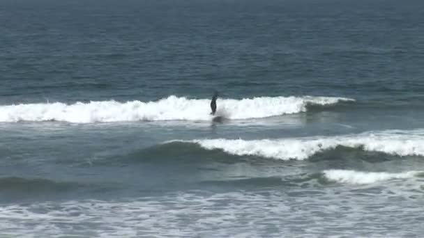 Surfer schwimmt im Ozean — Stockvideo