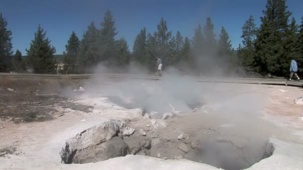 Gejzer pola w Parku Narodowym Yellowstone — Wideo stockowe