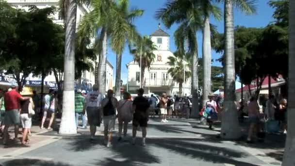 Philipsburg città sull'isola di Sint Maarten — Video Stock