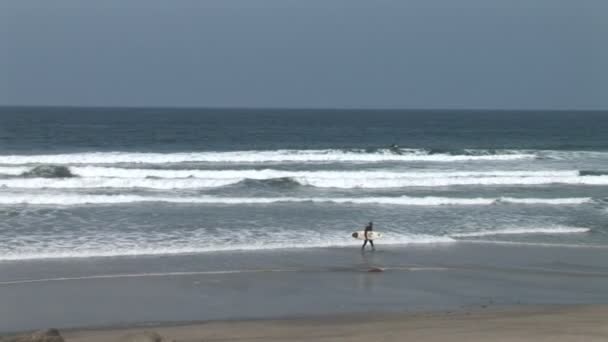 Surfista nadando no oceano — Vídeo de Stock